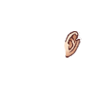 FG_Ears_p04_c1_m001.png