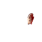 FG_Ears_p05_c1_m001.png