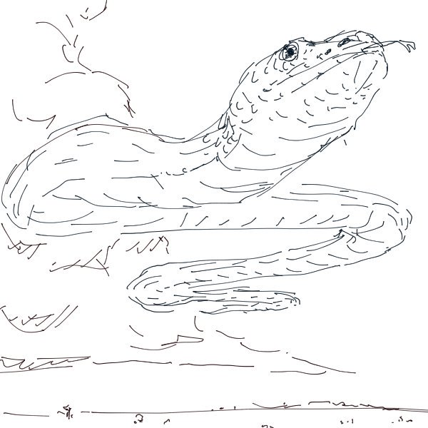 RainbowSerpent.jpeg