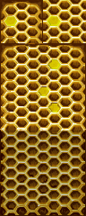 Beehive_A4.png