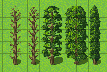 Tree2.png