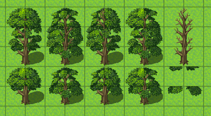 Tree3.png