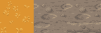 fall-ground.png fall-ground.png