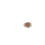 FG_FacialMark_p302_c1_m005.png