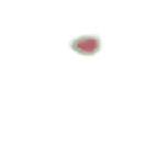 FG_FacialMark_p304_c1_m005.png