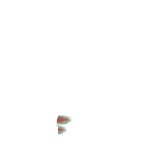 FG_FacialMark_p308_c1_m005.png