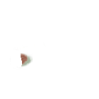 FG_FacialMark_p309_c1_m005.png