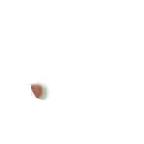 FG_FacialMark_p312_c1_m005.png