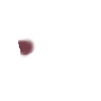 FG_FacialMark_p315_c1_m005.png