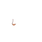 Nase.png