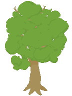 Arvore.png