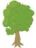 Arvore.png