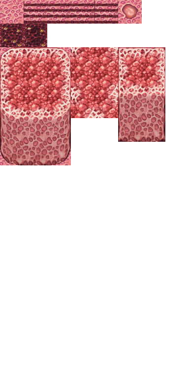 FleshCaveA5.png