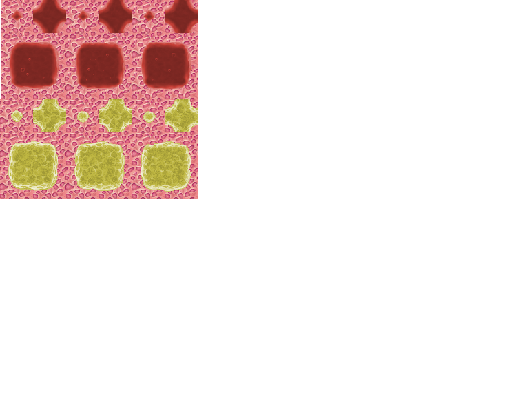 FleshCaveA1.png