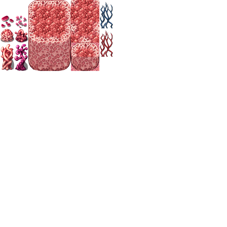 FleshCaveB.png