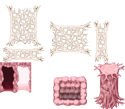 InnerBody.png