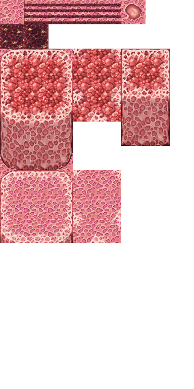 FleshCaveA5.png