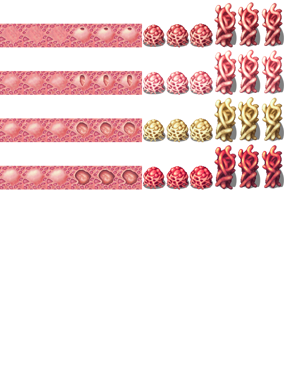 !FleshDecoration.png
