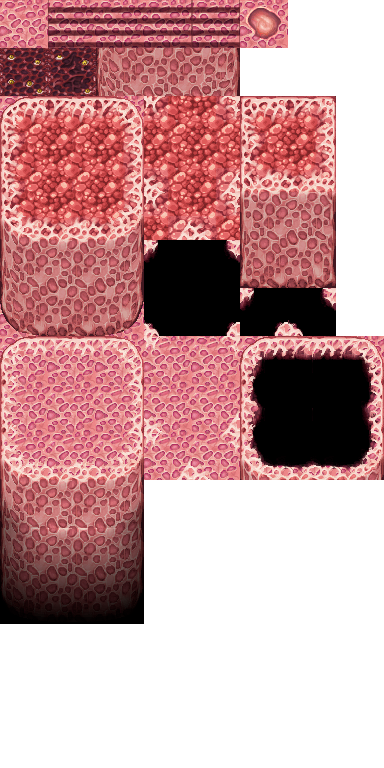 FleshCaveA5.png