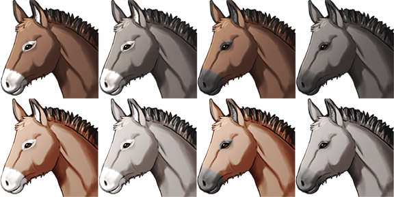 donkey_face_avery.png