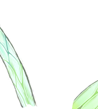 FG_Wing_p604.png