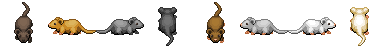 Mouse_avery.gif