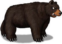 bear_02 Kopie.png