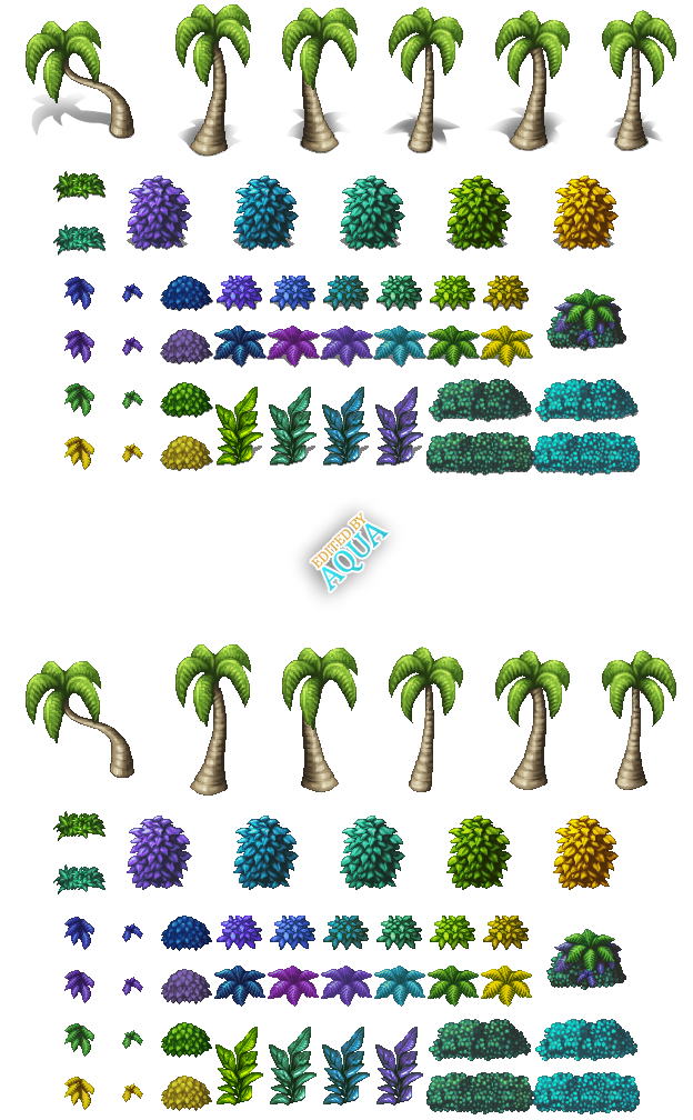 tropical03.png