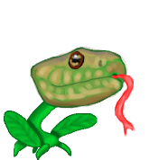 Snakeweed_sm.png