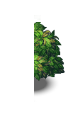 demo_par.png demo_par.png