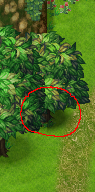 plugin_result.png plugin_result.png