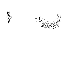 FG_AccB_p23_c1.png