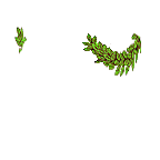 FG_AccB_p23_c2_m016.png