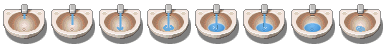 Starbird-Running-Faucet.png