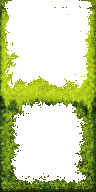 Overgrown-Overlay.png