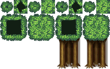 ForestAverySummer.png