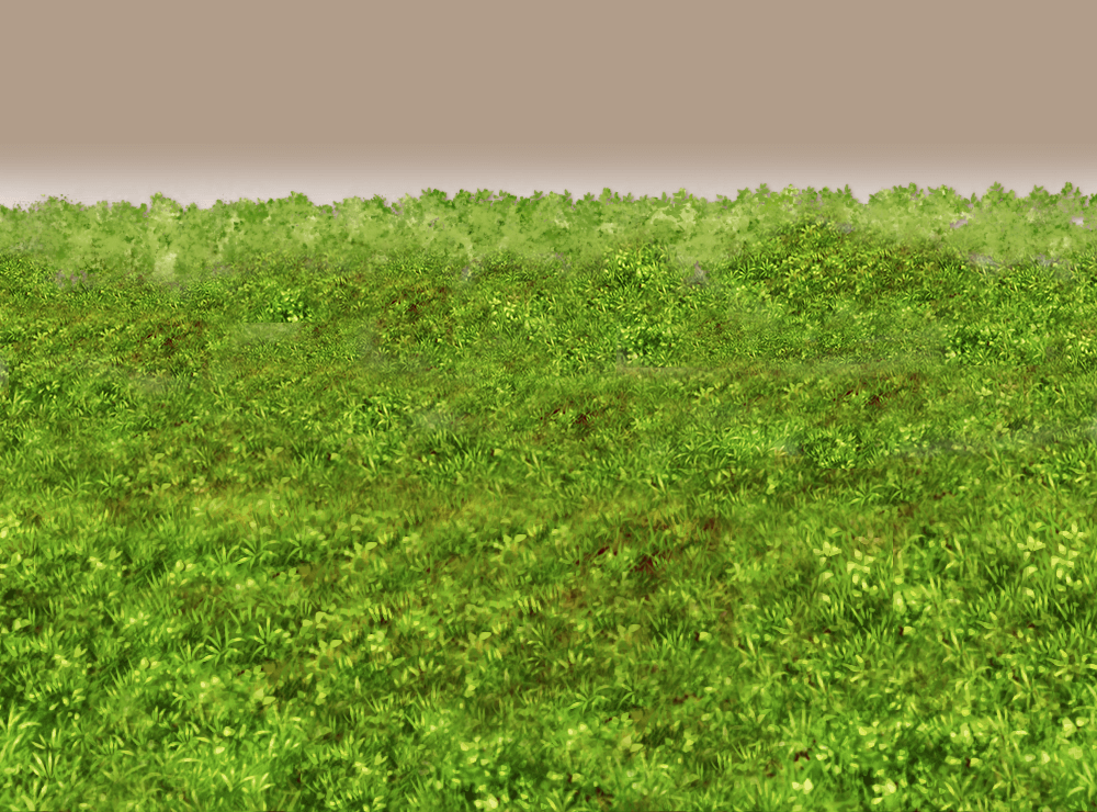 Jungle_Avery.png