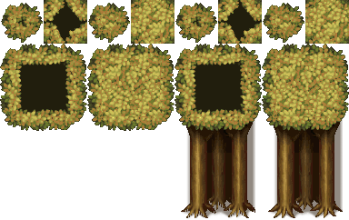 ForestAveryAutumn.png