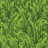 grassfail.png grassfail.png