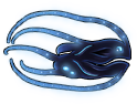 fish_09.png