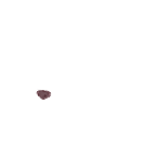FG_Nose_p30_c1_m001.png