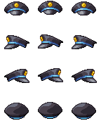 Police gap.png