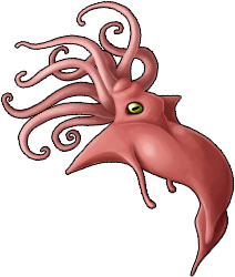 squid_03.png