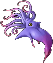squid_03a.png