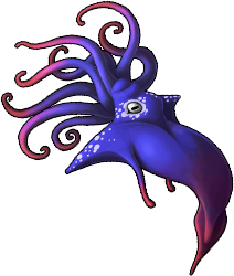 squid_03b.png