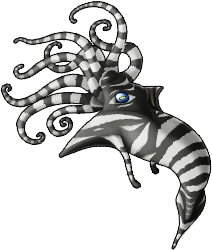squid_03c.png