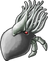 squid_04.png