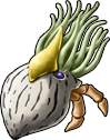 squid_04b.png