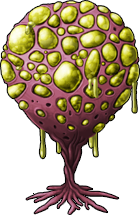 mushroom_15.png