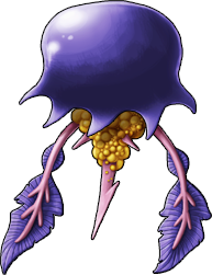 jellyfish_07.png